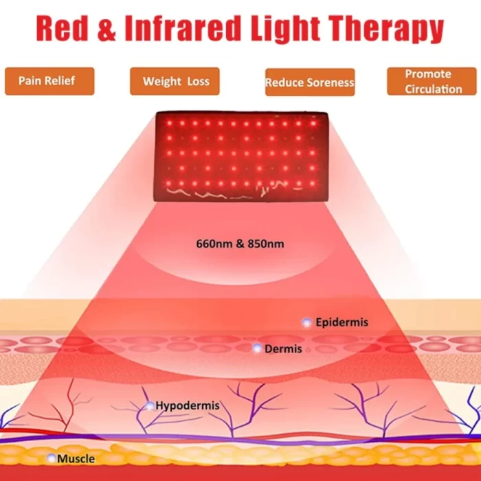 SereneHeal_red_light_therapy_belt_4 sereneheal_red_light_therapy_belt_4